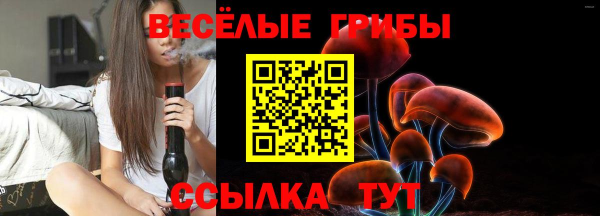 Аргун  Галлюциногенные грибы мицелий  Вход с VPN  Галлюциногенные грибы Cubensis 